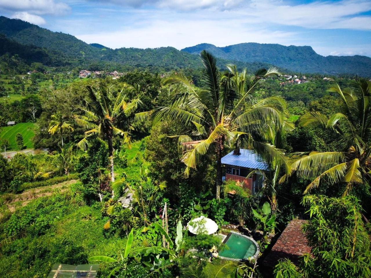 Bed and Breakfast Gladak Di Uma Bali à Sidemen  Extérieur photo
